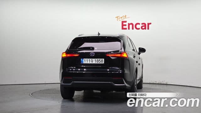 Lexus NX300h 2021 — Şəkil 4/20