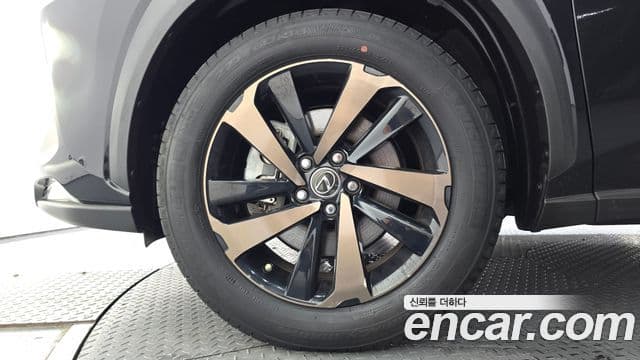 Lexus NX300h 2021 — Şəkil 5/20