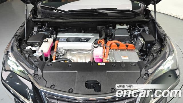 Lexus NX300h 2021 — Şəkil 6/20