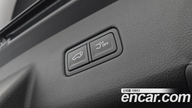 Kia Carnival 2021 — ფოტო 20/20