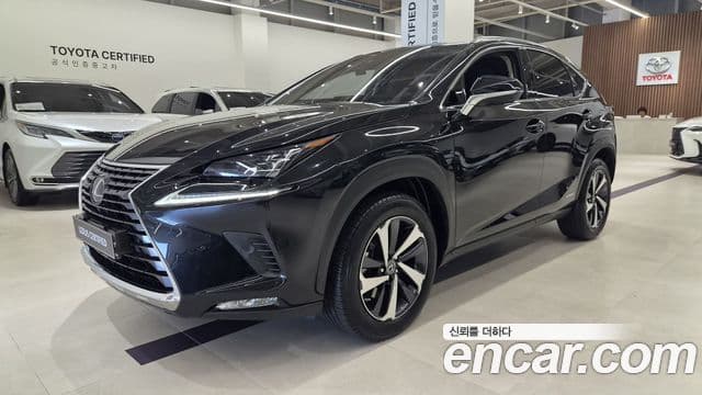 Lexus NX300h 2021 — ფოტო 20/20