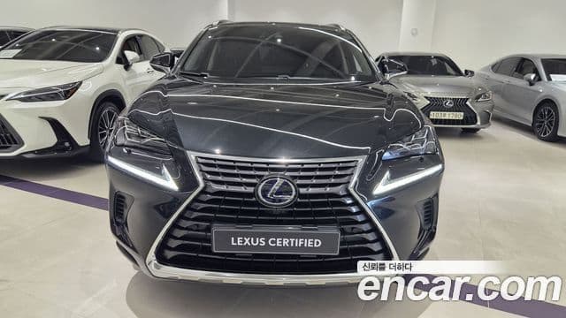 Lexus NX300h 2021 — ფოტო 2/20