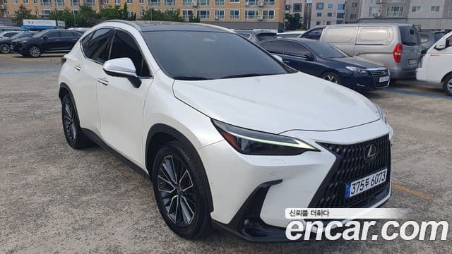 Lexus NX350h 2023 — Şəkil 9/18