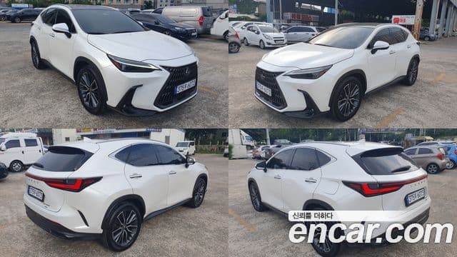 Lexus NX350h 2023 — Şəkil 15/18