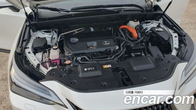 Lexus NX350h 2023 — Şəkil 17/18