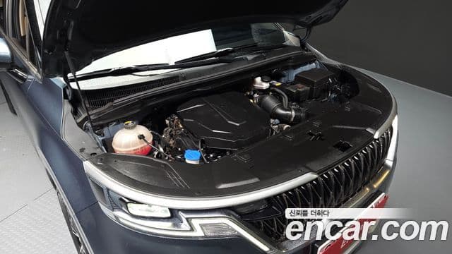 Kia Carnival 2021 — ფოტო 6/20