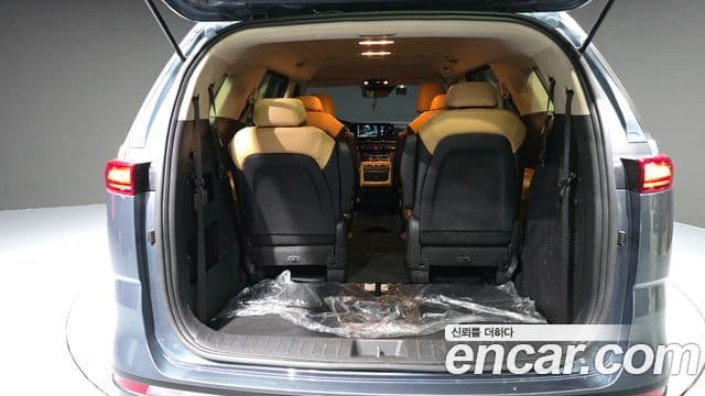 Kia Carnival 2021 — ფოტო 20/20