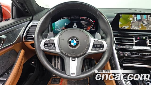BMW 8 Series 2020 — ფოტო 14/20