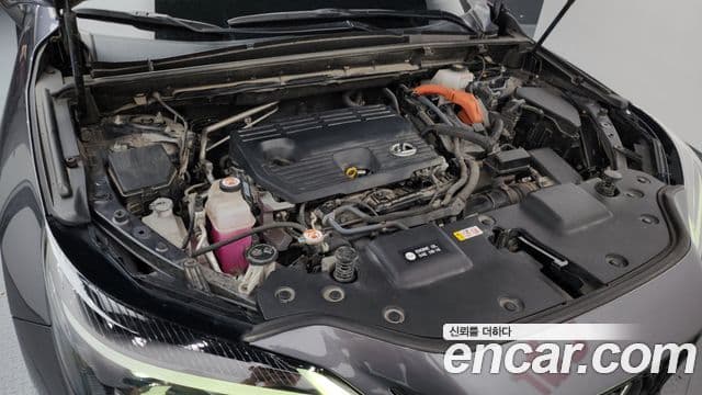 Lexus NX350h 2022 — ფოტო 6/20