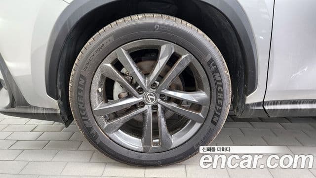 Lexus NX350h 2023 — Şəkil 4/20