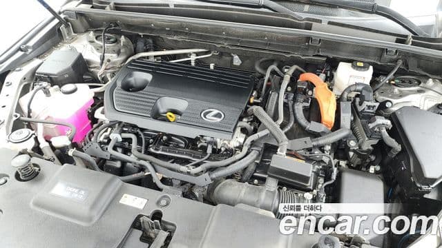 Lexus NX350h 2023 — Şəkil 5/20