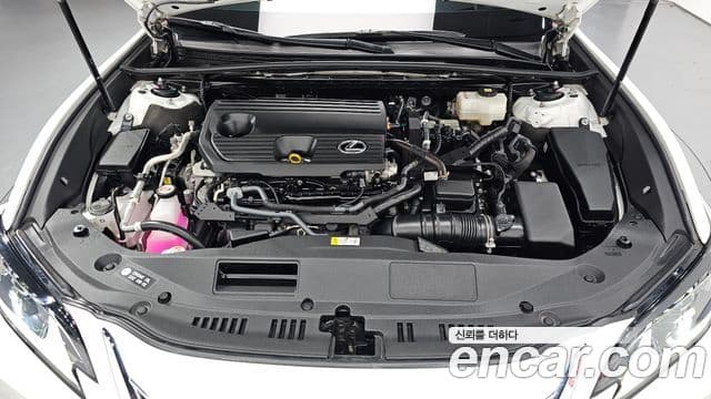 Lexus ES300h 2023 — Şəkil 6/20