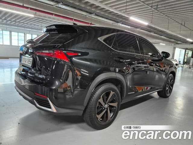 Lexus NX300h 2021 — Şəkil 3/20
