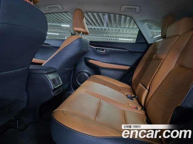 Lexus NX300h 2021 — Şəkil 10/20