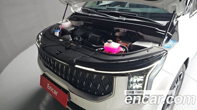 Kia Carnival 2024 — ფოტო 20/30