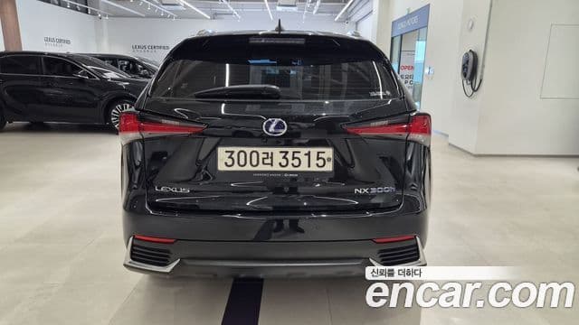 Lexus NX300h 2021 — ფოტო 3/20