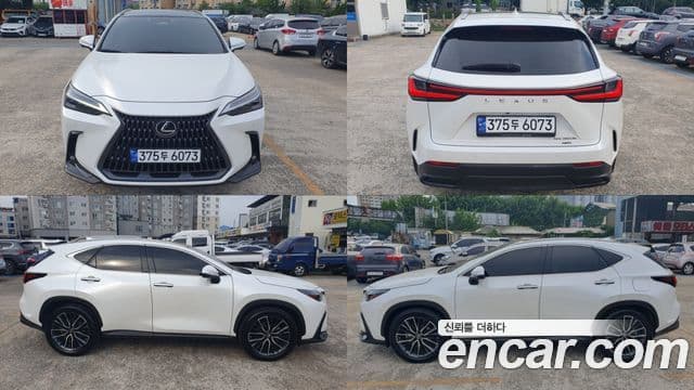 Lexus NX350h 2023 — Şəkil 2/18
