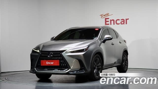 Lexus NX350h 2023 — Şəkil 9/20