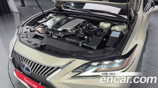 Lexus ES300h 2019 — ფოტო 6/20