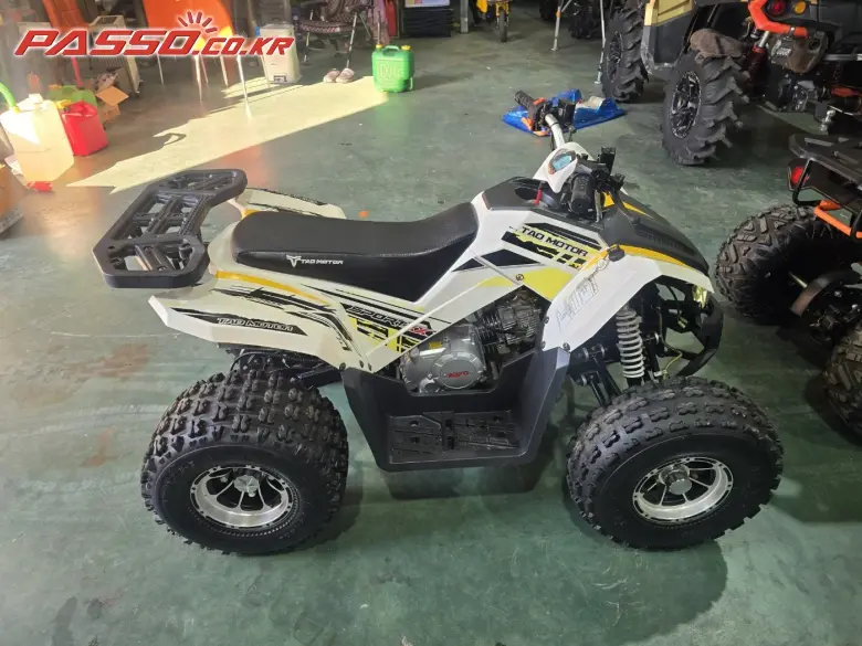 Китай (другое) ATV