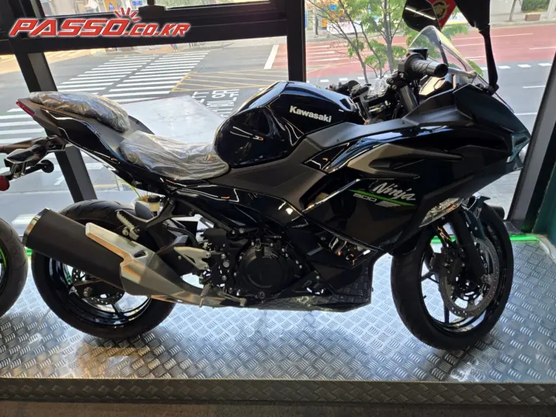 Kawasaki Ninja 500 R