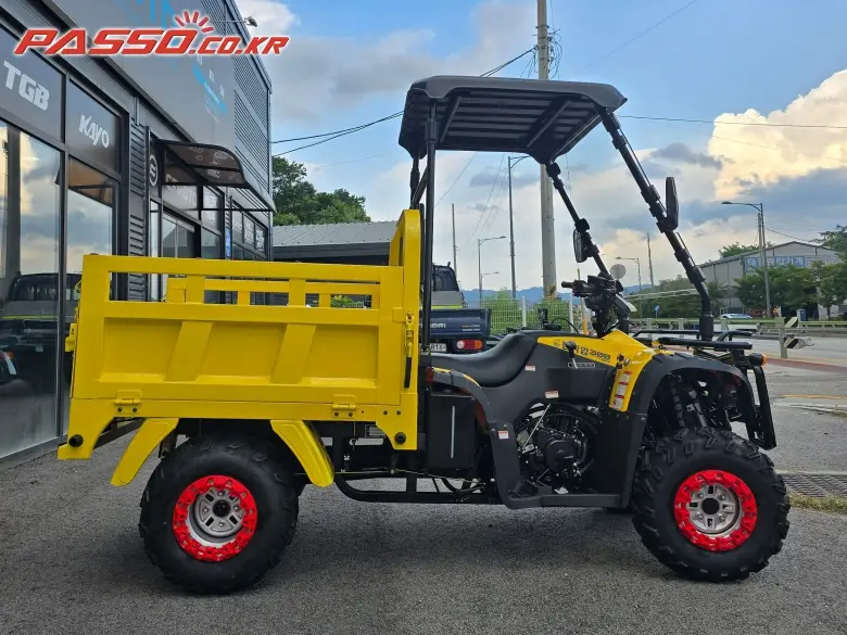 Китай (другое) ATV