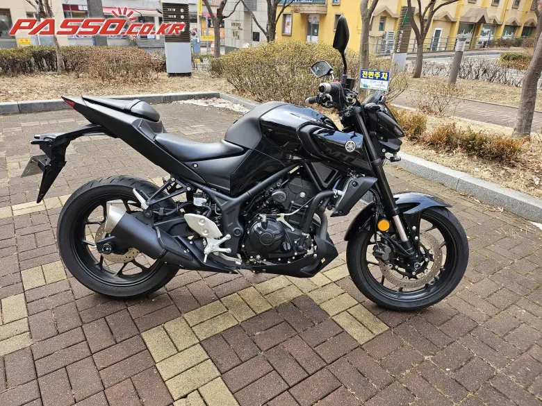 Yamaha MT 03