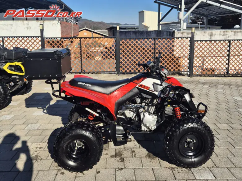 Can-Am DS 250
