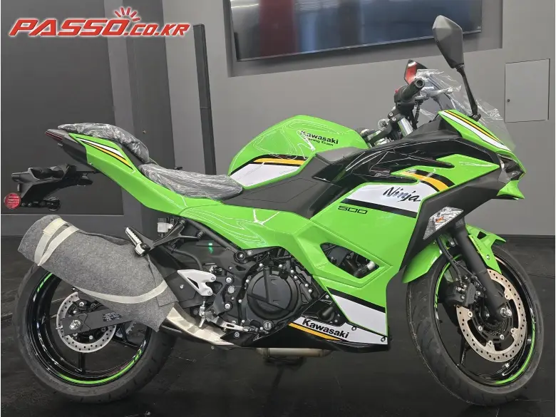 Kawasaki Ninja 500 R