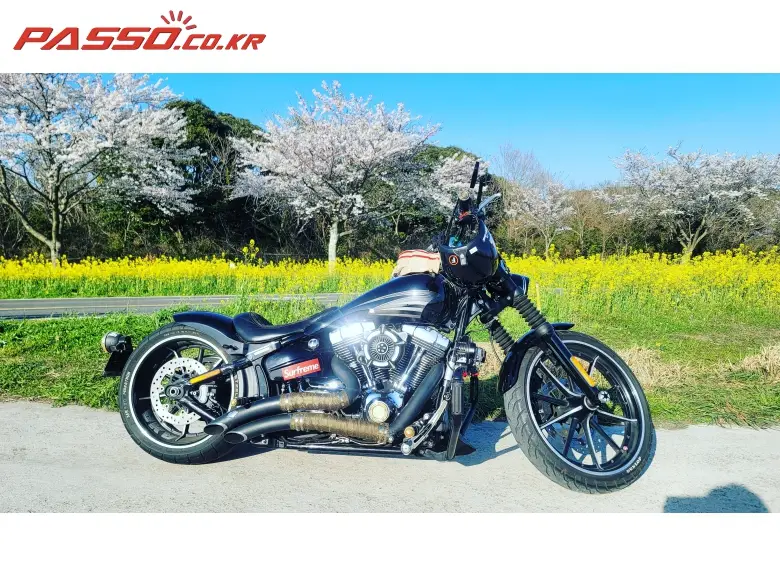 Harley-Davidson Breakout