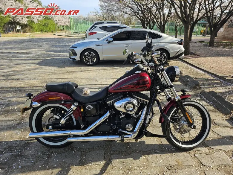 Harley-Davidson Dyna Street Bob