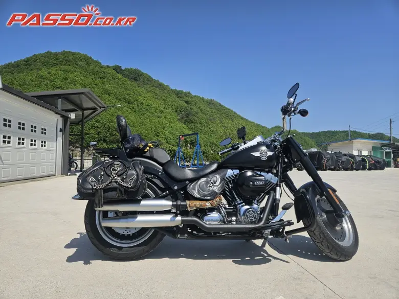 Harley-Davidson Fat Boy Special