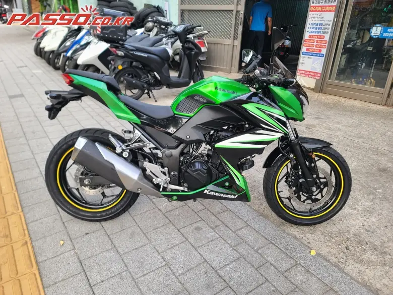 Kawasaki Z 250