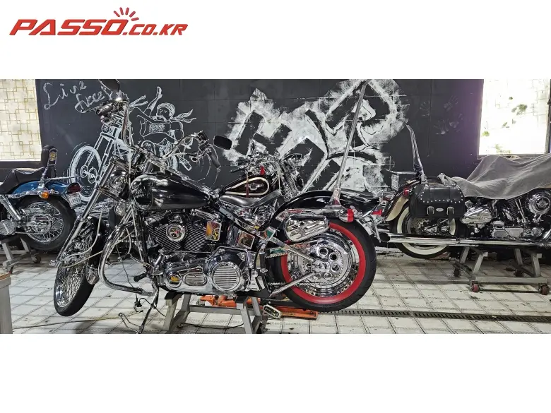 Harley-Davidson Softail