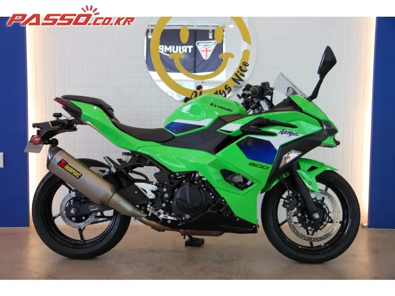 Kawasaki Ninja 500 R
