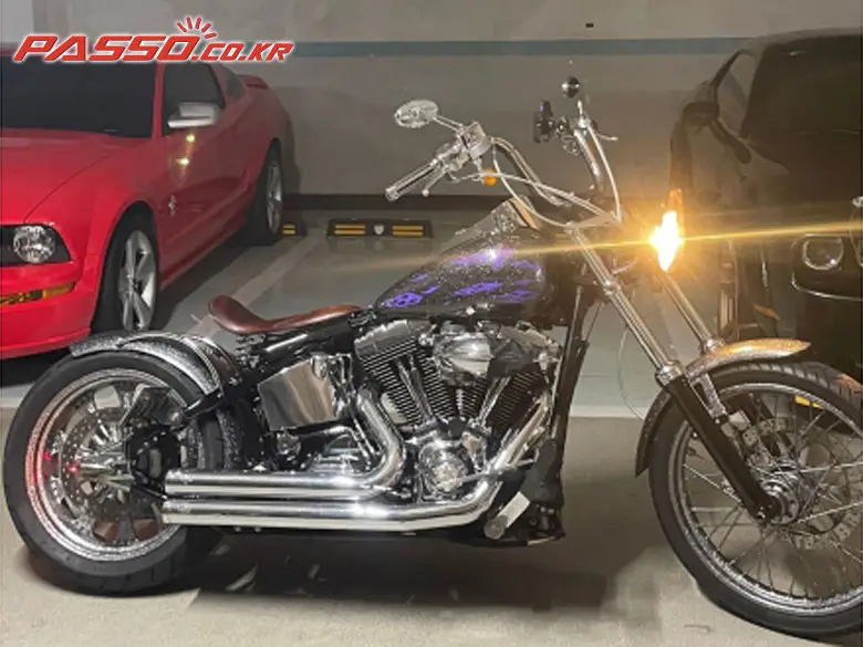 Harley-Davidson Heritage Softail