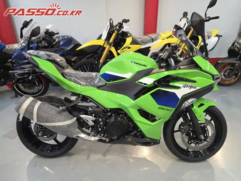 Kawasaki Ninja 500 R
