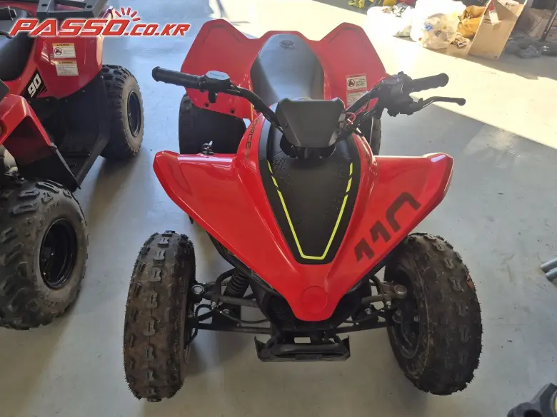 CFMoto CFORCE 110