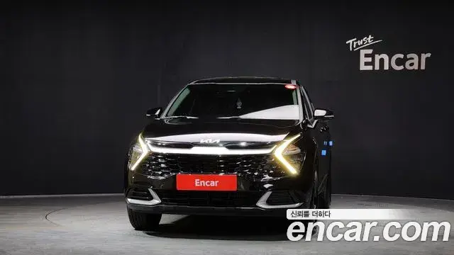 Kia Sportage, 2024