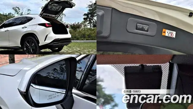 Lexus NX350h, 2025