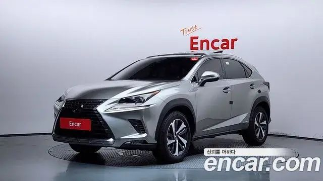 Lexus NX300h, 2019