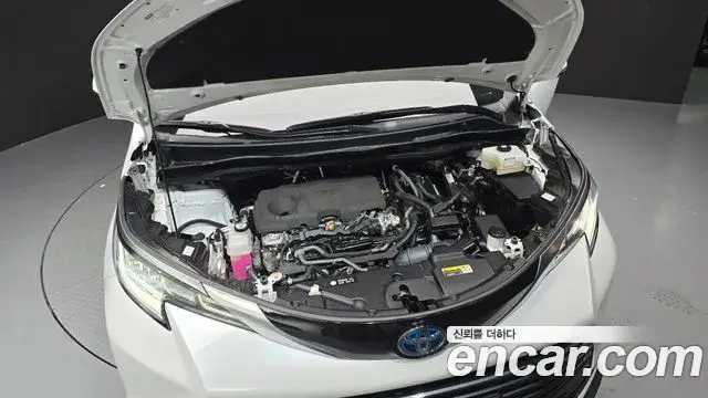 Toyota Sienna, 2023