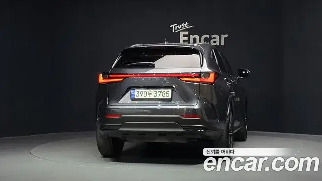 Lexus NX350h, 2023