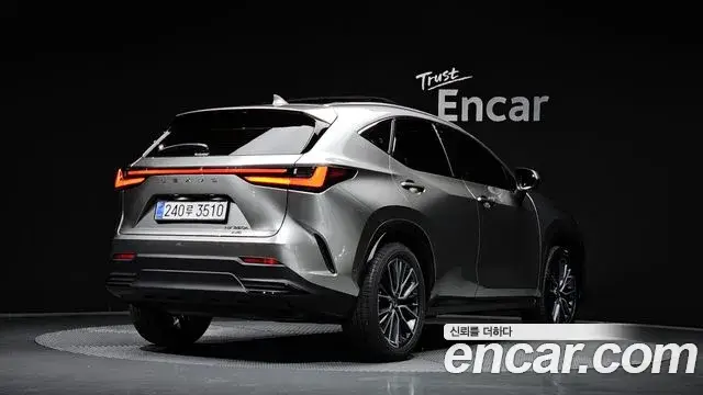 Lexus NX350h, 2025