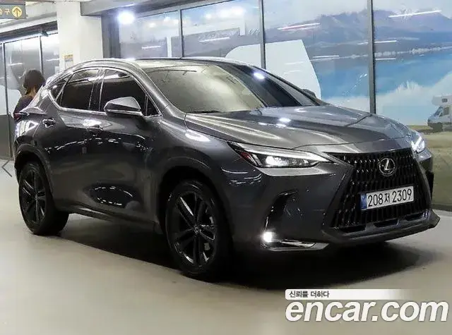 Lexus NX350h, 2025