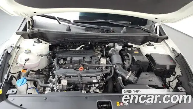 Kia Sportage, 2025