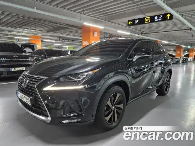 Lexus NX300h, 2021