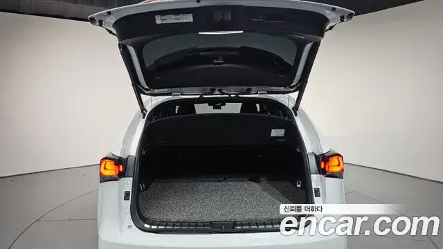 Lexus NX300, 2020