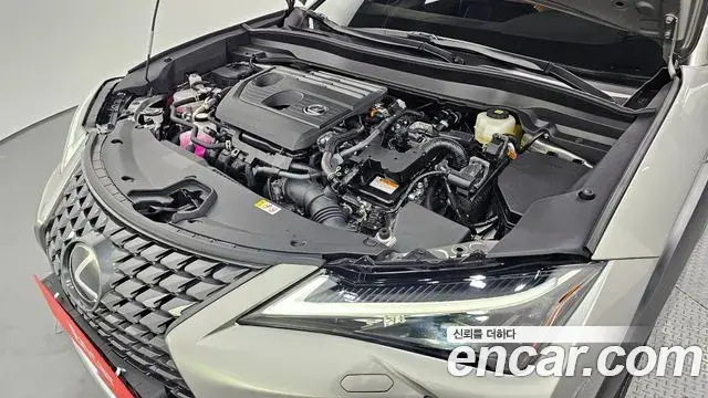 Lexus UX300h 2025 — Photo 7/20
