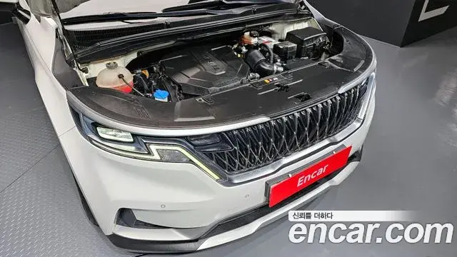Kia Carnival 2021 — Фото 6/20